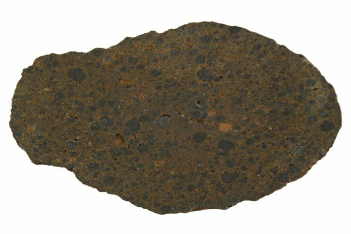 R Chondrite Meteorite ( g) Section - Mont Tourniat #308371